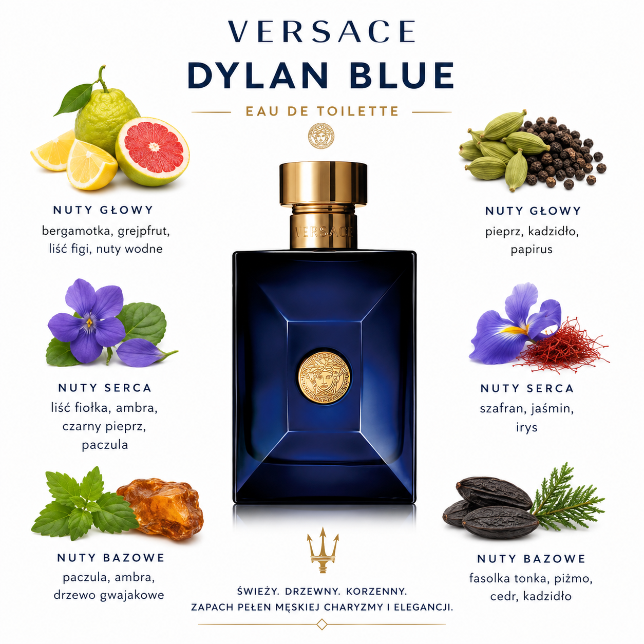 Versace Pour Homme Dylan Blue